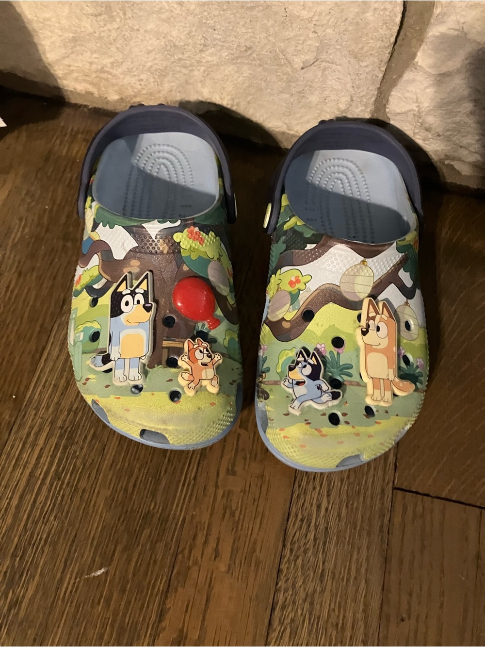 Bluey-Themed Kids Slip-On Crocs